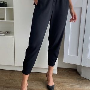 Aritzia Babaton Dexter Pant